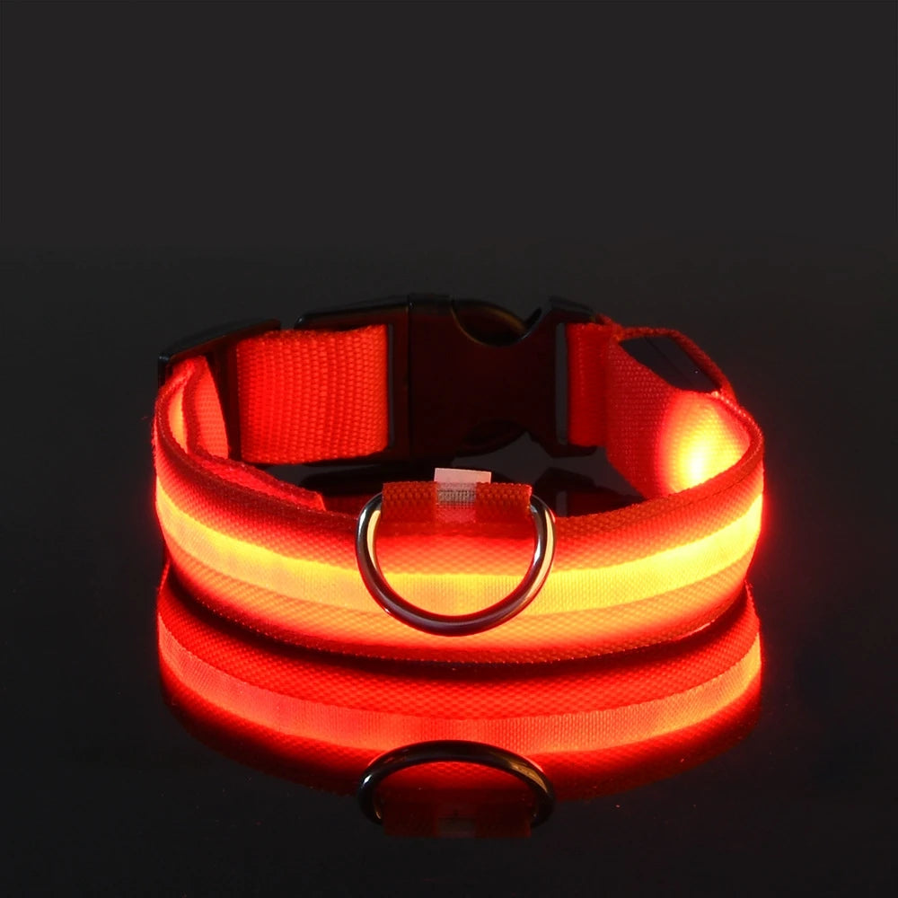 LED Night Safety Dog Leash & Collar