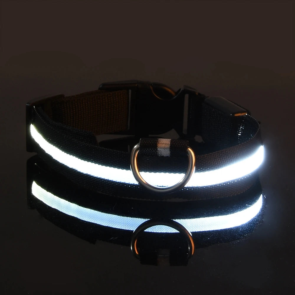LED Night Safety Dog Leash & Collar