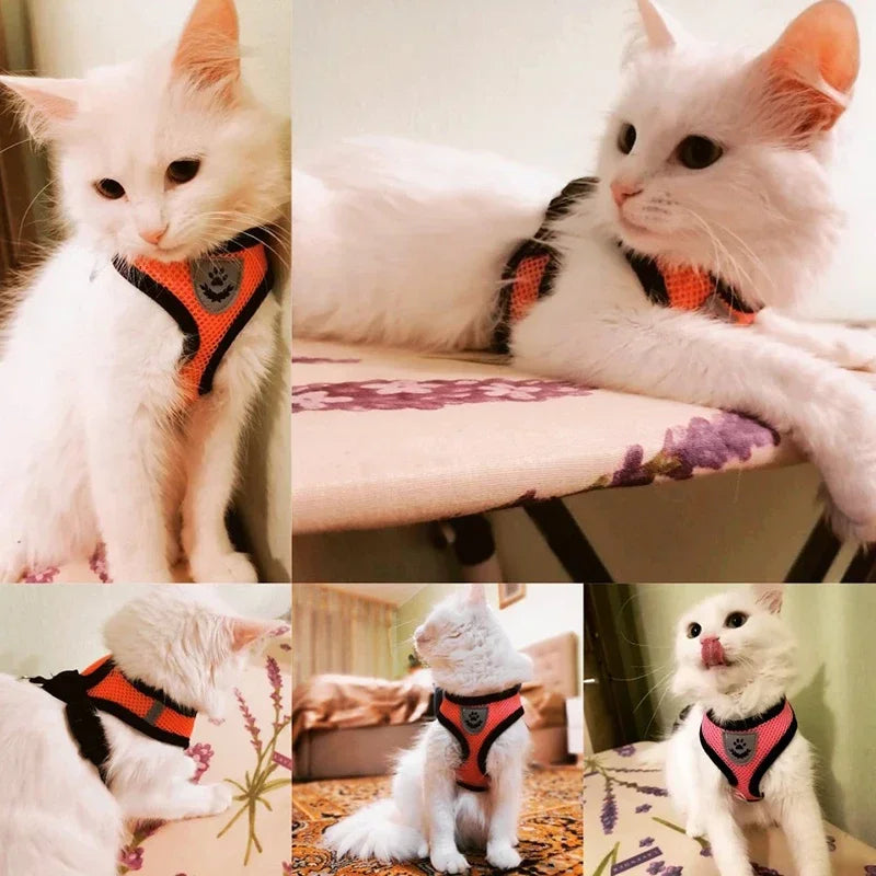 Adjustable Mesh Cat & Small Pet Harness Set