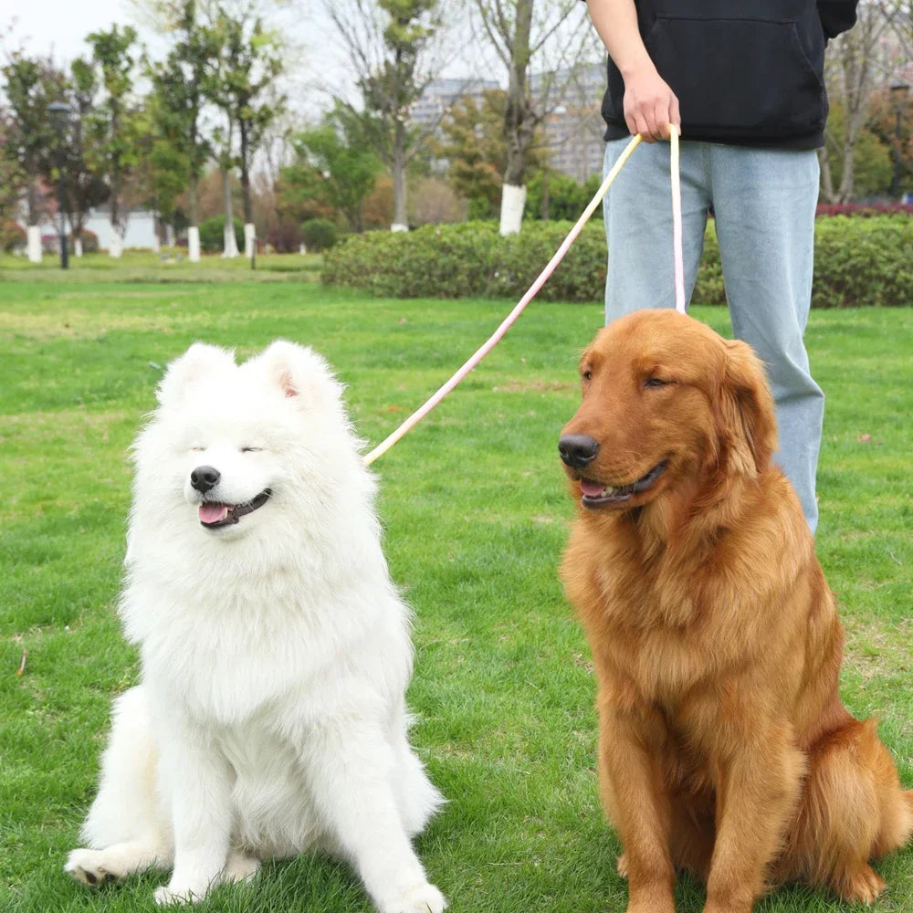 Hands-Free Multifunction Dog Leash