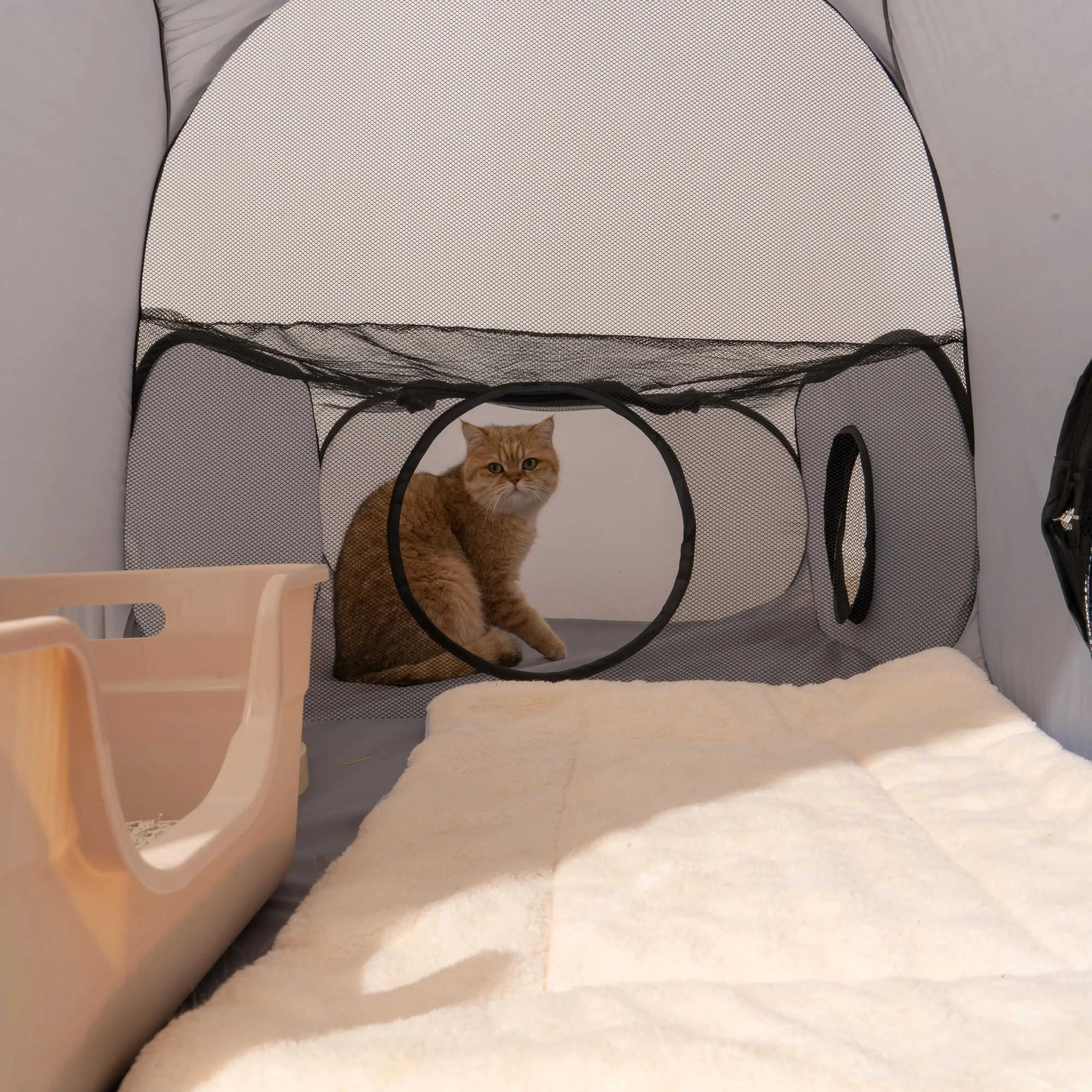 Foldable Cat Play Tunnel & Delivery Nest