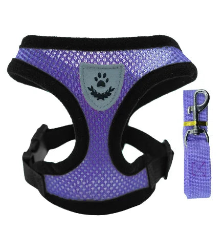 Adjustable Mesh Cat & Small Pet Harness Set