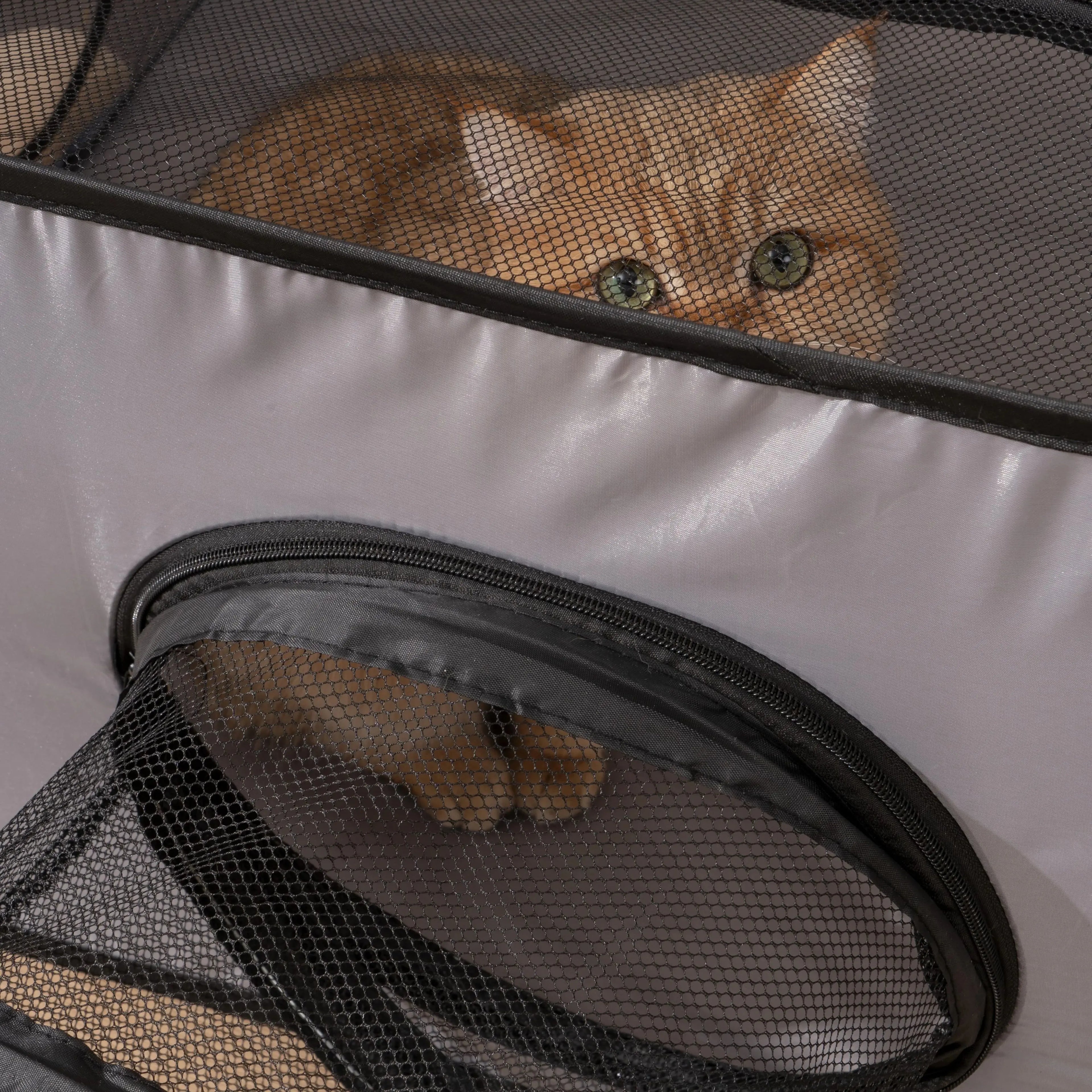 Foldable Cat Play Tunnel & Delivery Nest