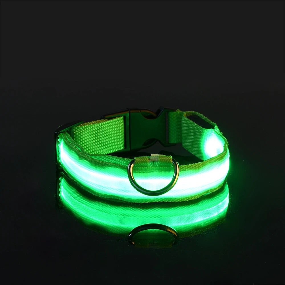 LED Night Safety Dog Leash & Collar
