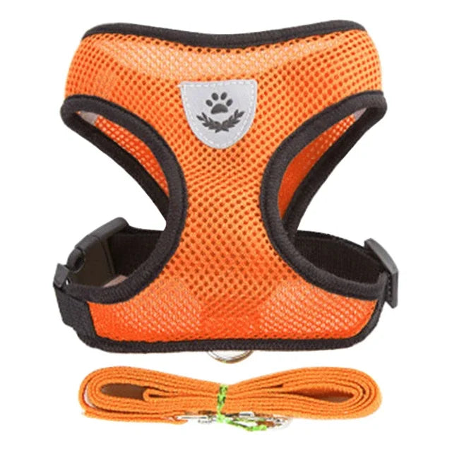 Adjustable Mesh Cat & Small Pet Harness Set