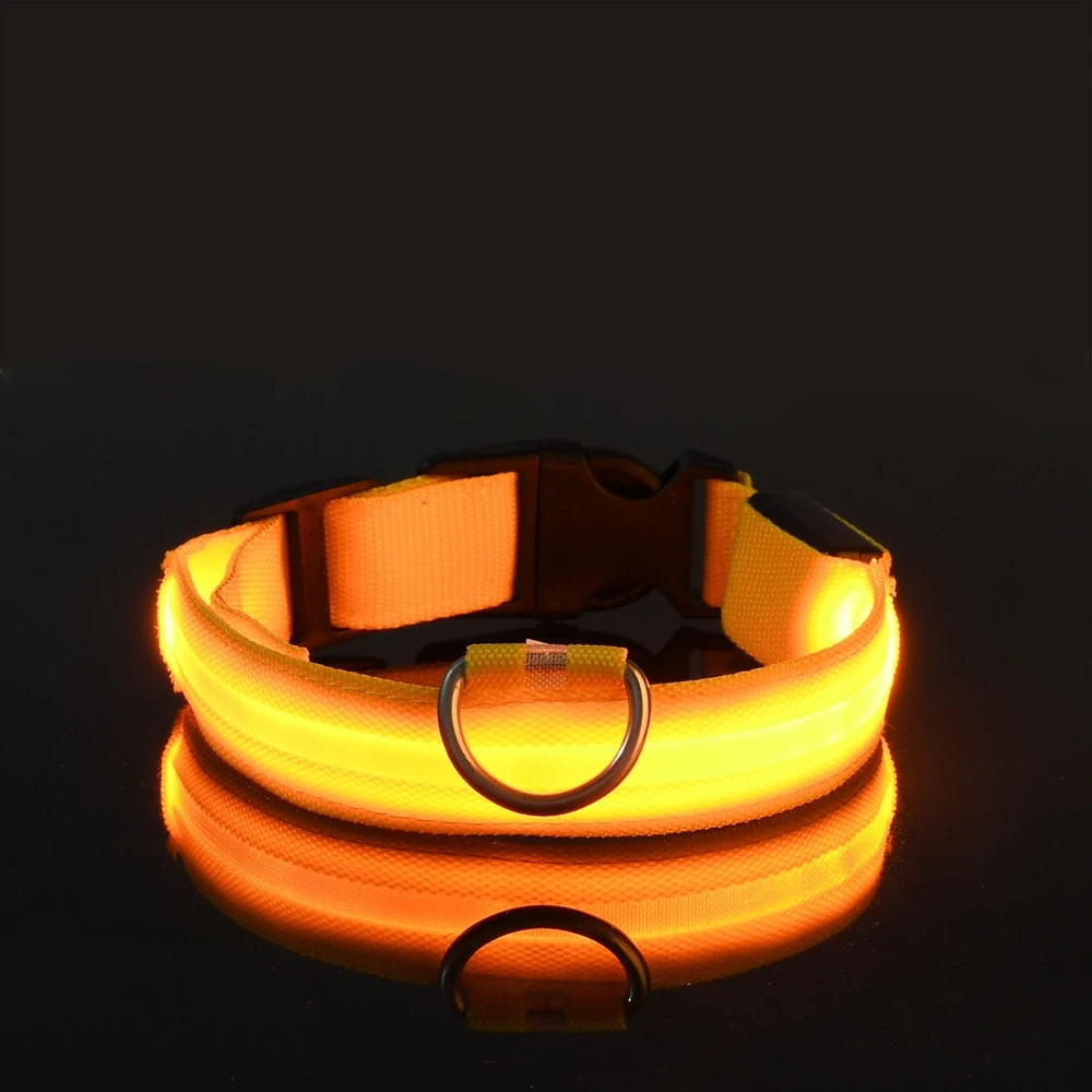 LED Night Safety Dog Leash & Collar