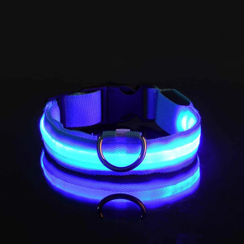 LED Night Safety Dog Leash & Collar