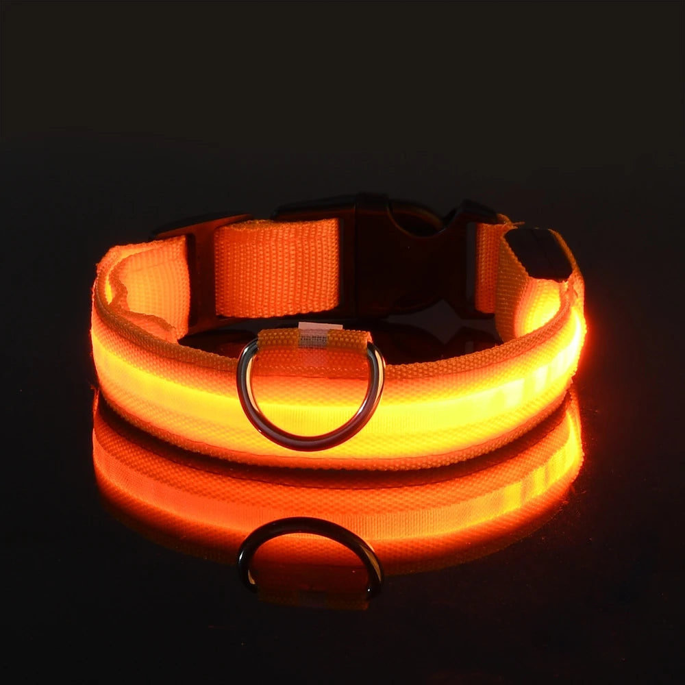 LED Night Safety Dog Leash & Collar