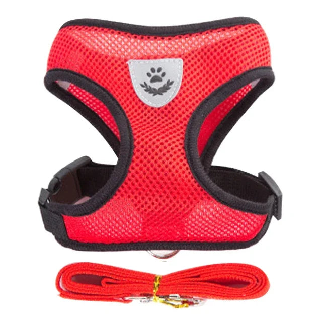 Adjustable Mesh Cat & Small Pet Harness Set