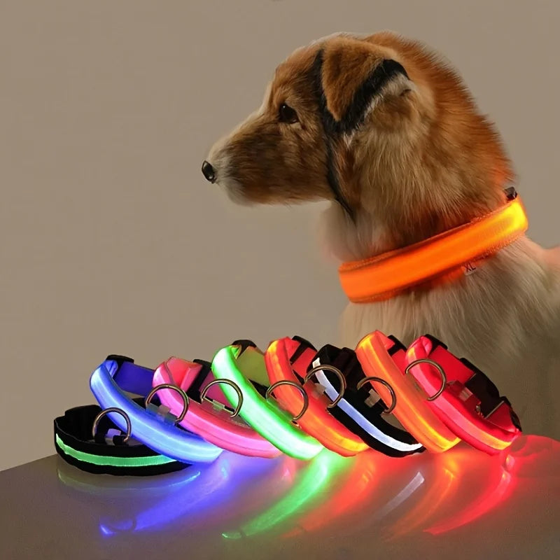 LED Night Safety Dog Leash & Collar