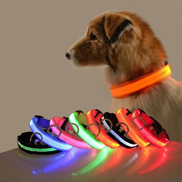 LED Night Safety Dog Leash & Collar
