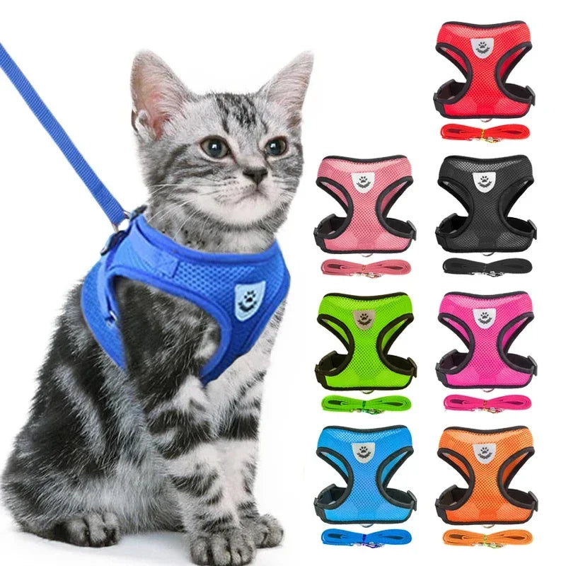 Adjustable Mesh Cat & Small Pet Harness Set