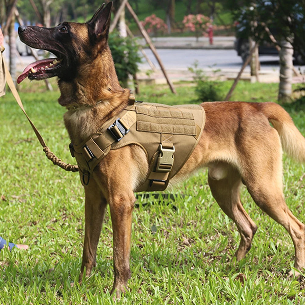 Tactical Harness & Leash Set for Medium & Large Dogs