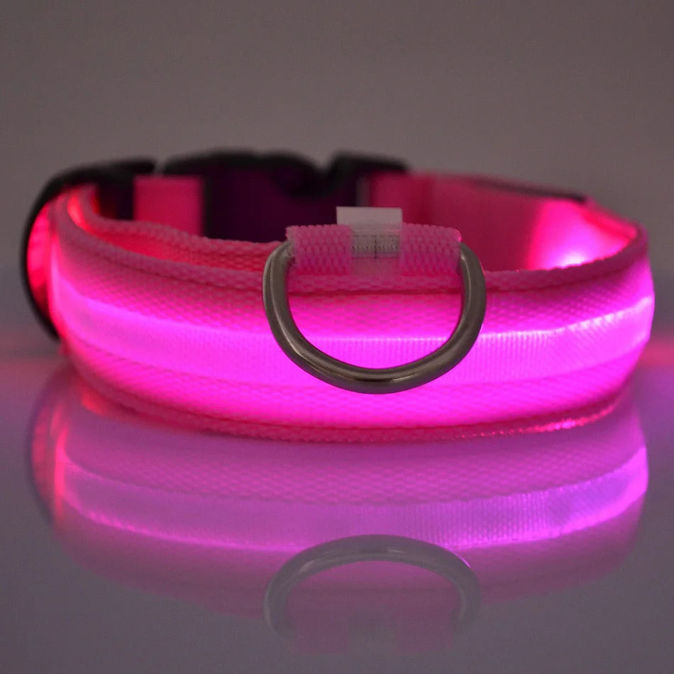 LED Night Safety Dog Leash & Collar