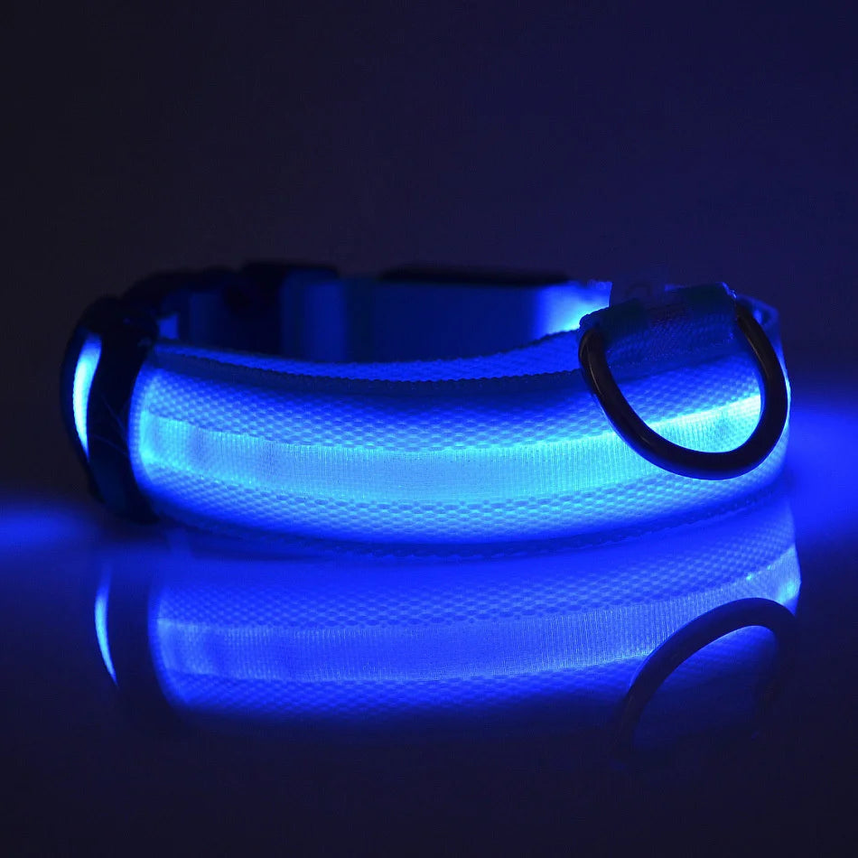 LED Night Safety Dog Leash & Collar