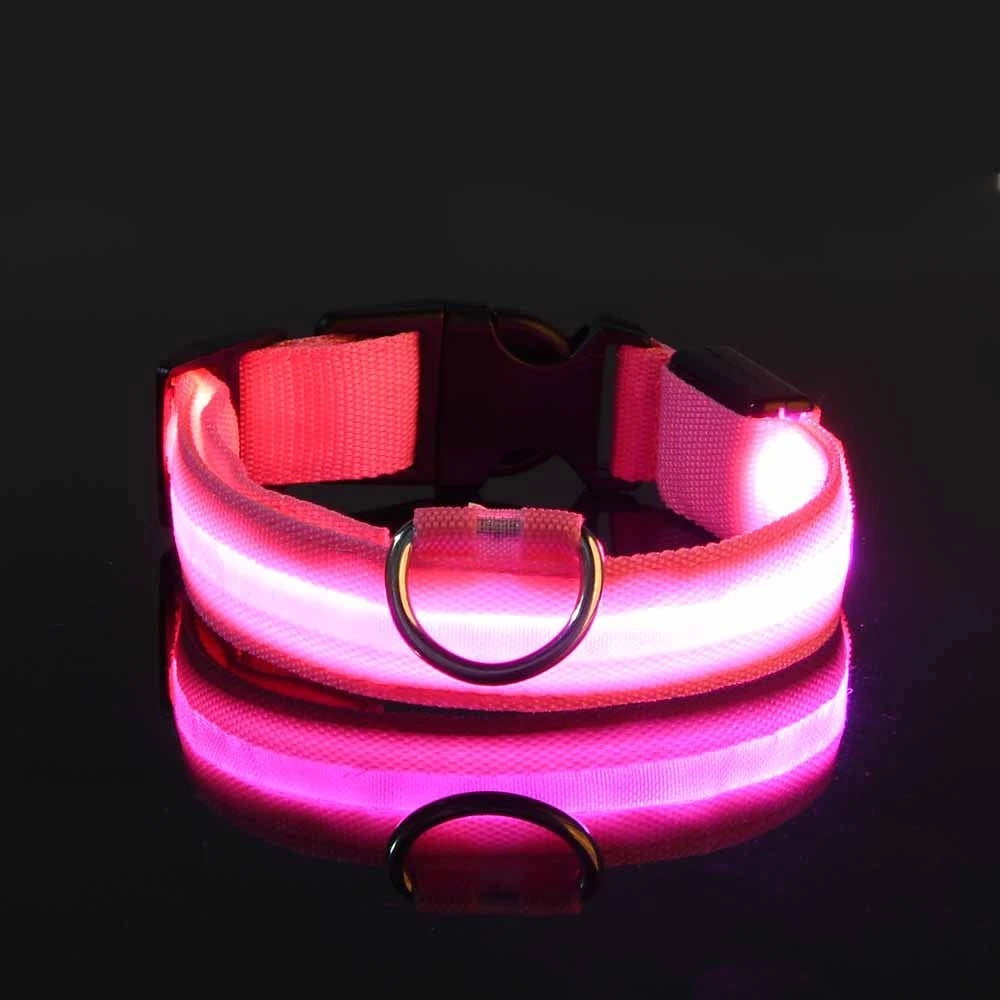LED Night Safety Dog Leash & Collar