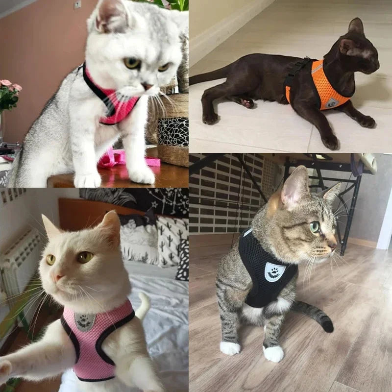 Adjustable Mesh Cat & Small Pet Harness Set