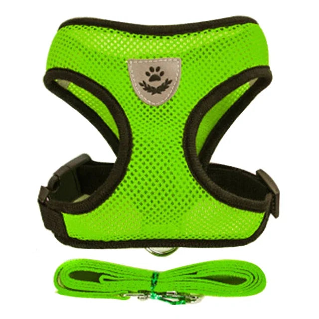 Adjustable Mesh Cat & Small Pet Harness Set