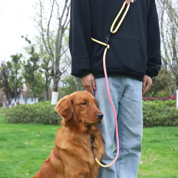 Hands-Free Multifunction Dog Leash