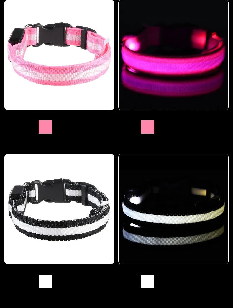 LED Night Safety Dog Leash & Collar