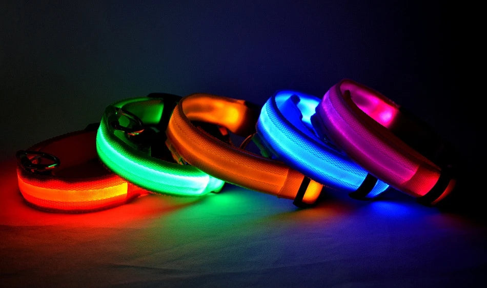 LED Night Safety Dog Leash & Collar