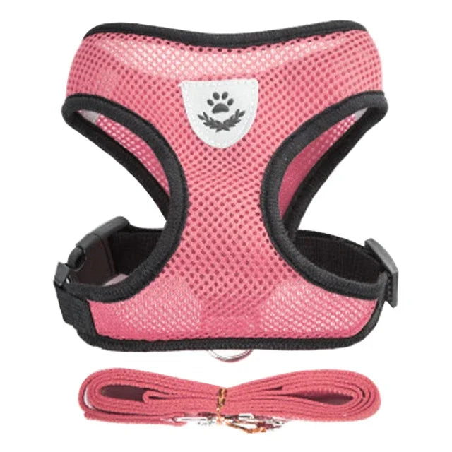 Adjustable Mesh Cat & Small Pet Harness Set