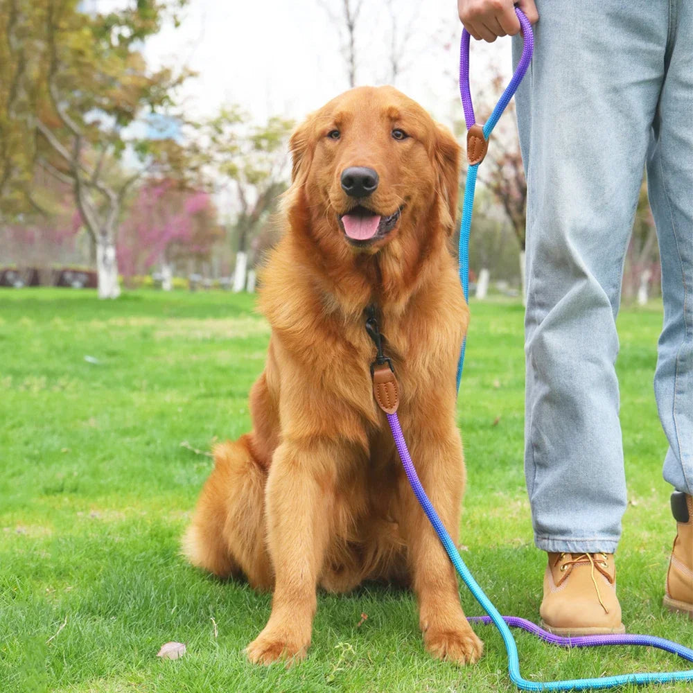 Hands-Free Multifunction Dog Leash