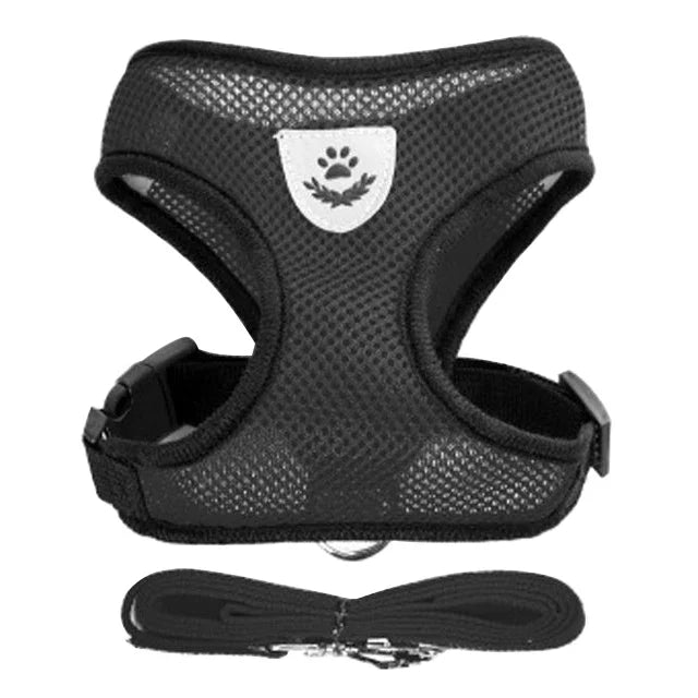 Adjustable Mesh Cat & Small Pet Harness Set