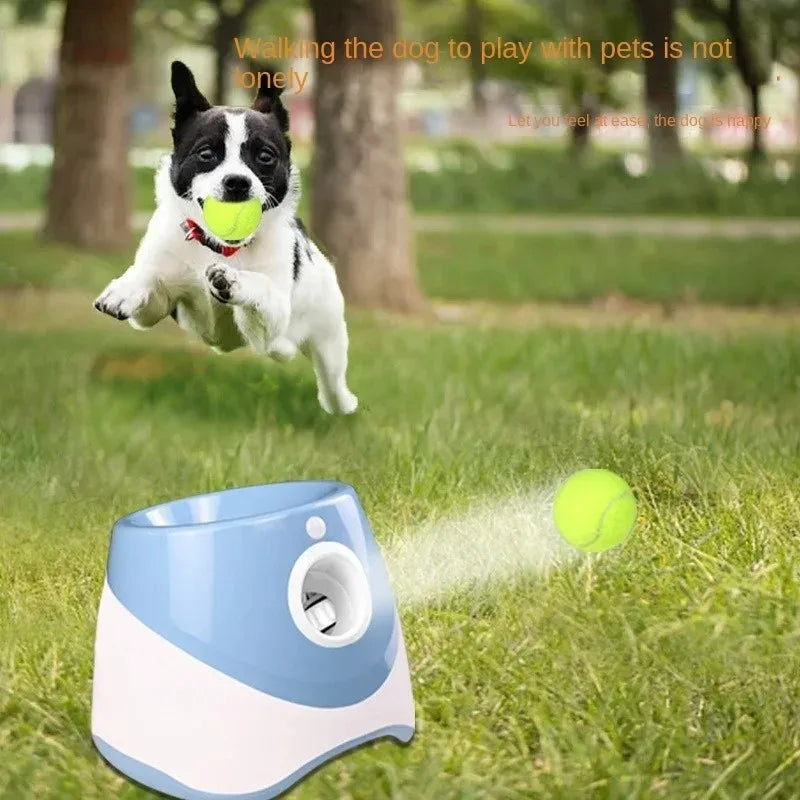 Zoomies Australia automatic dog ball launcher throwing tennis ball with excited dog jumping to catch