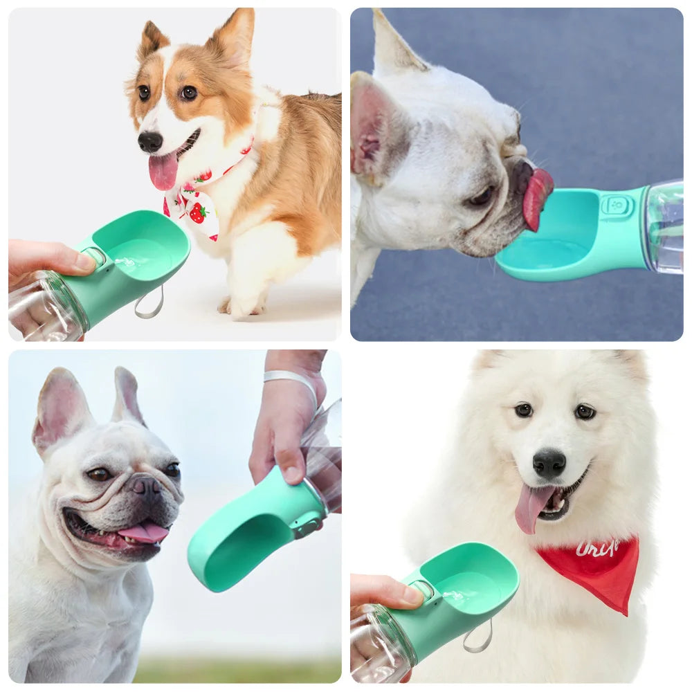 Portable dog water bottle in use with different dog breeds drinking from a green water dispenser