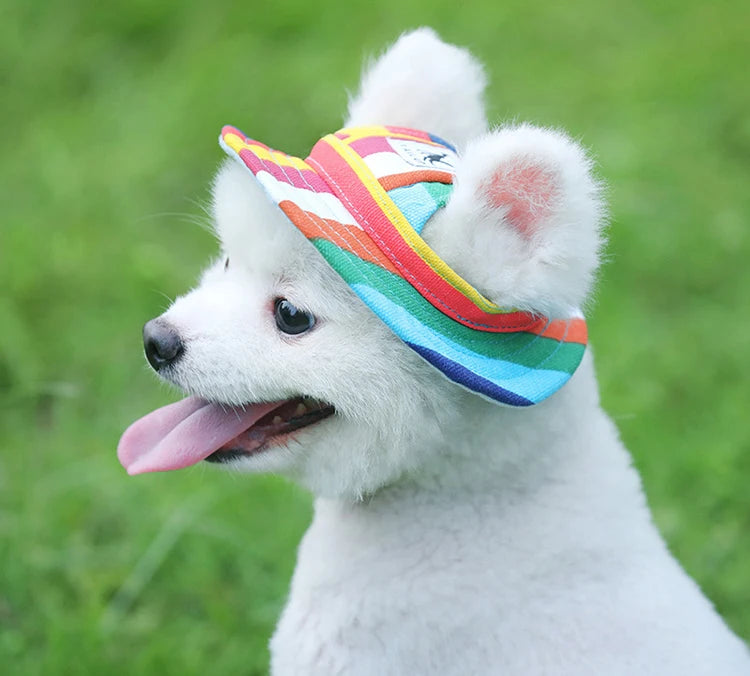 Small white dog wearing a colorful striped pet sunhat for small dogs and cats outdoors