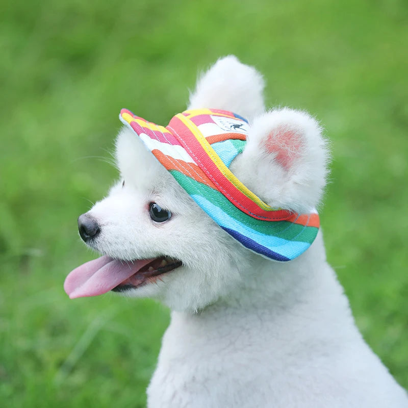 Pet sunhat for small dogs and cats with colorful stripes worn by a white fluffy dog outdoors