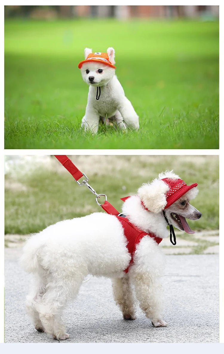 Pet sunhat for small dogs and cats shown on white fluffy dogs in orange and red sunhats outdoors