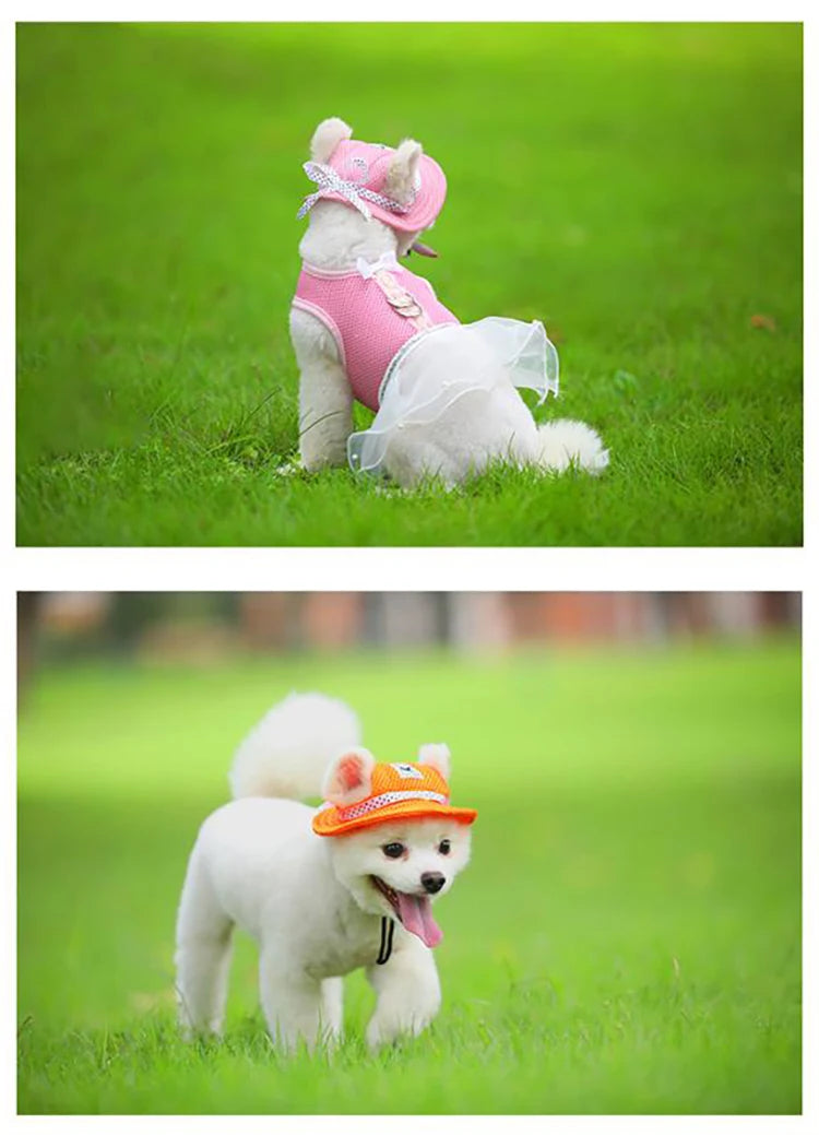 Small dogs wearing pet sunhat for small dogs and cats in pink and orange on green grass