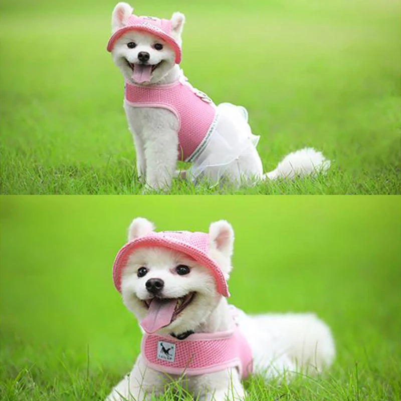 Small white dog wearing a pink pet sunhat for small dogs and cats with a matching pink dress outdoors