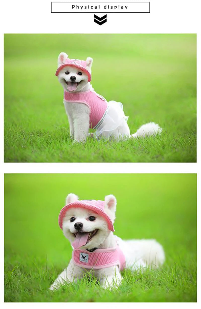 Small white dog wearing a pink pet sunhat for small dogs and cats with ear details on green grass